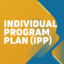 Tell Us About Your IPP Experience